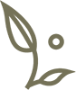 IW Leaf Olive